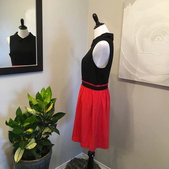 Collared Fitted Kensie Dress - Picture 2 of 5